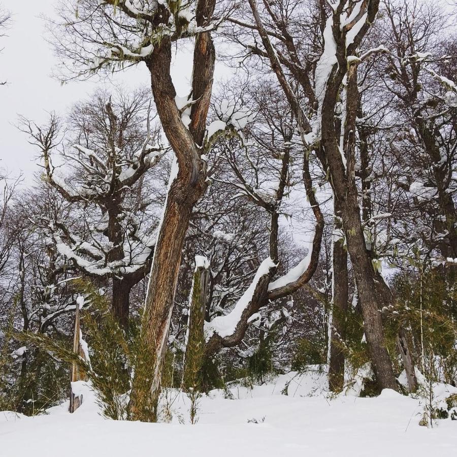 Апартаменты Buena Vista Сан-Карлос-де-Барилоче Экстерьер фото